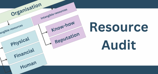 Resource Audit Analysis: A Practical Guide for Business Analysts
